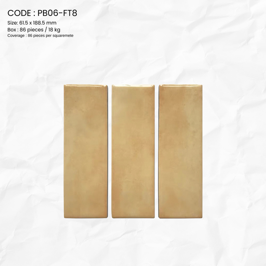 Clayhaus Porcelain Tile PB06-FT8