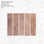 Rustic Stone Porcelain Tile PB03-FT2
