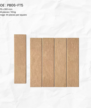 SEDIMENT SERIES PB06-FT5