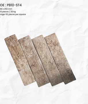 DIN SERIES PB10-ST4