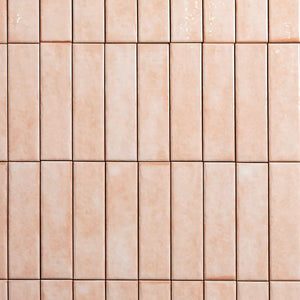 RUSKA SERIES PB51-FT6