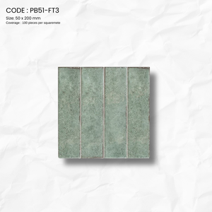 RUSKA SERIES PB51-FT3