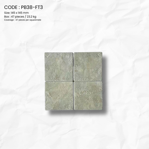 PAGOS STON SERIES PB38-FT3