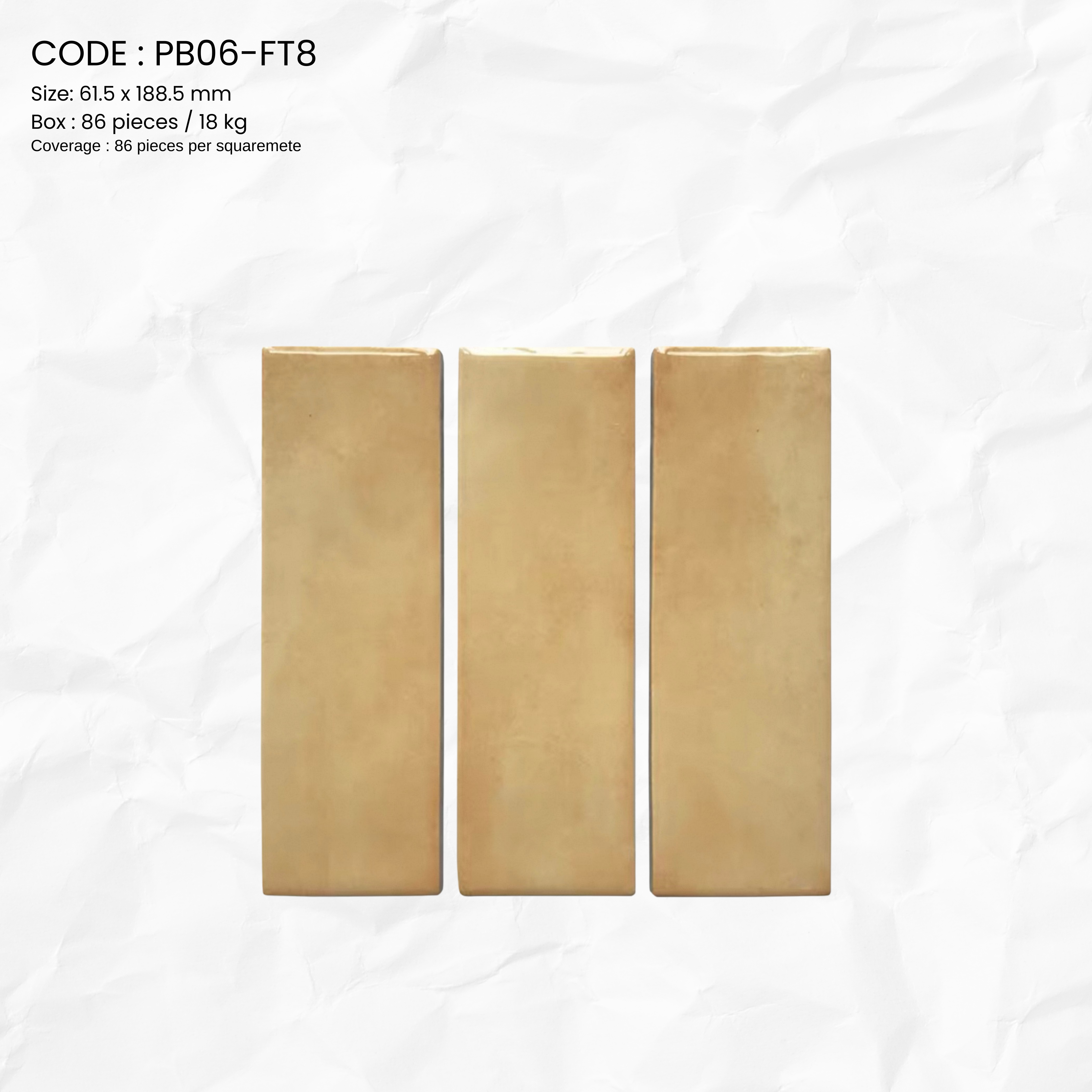 Clayhaus Porcelain Tile PB06-FT8