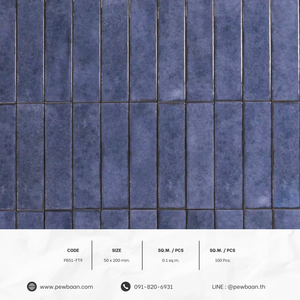 RUSKA SERIES PB51-FT9