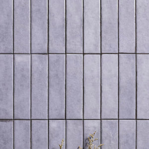 RUSKA SERIES PB51-FT5