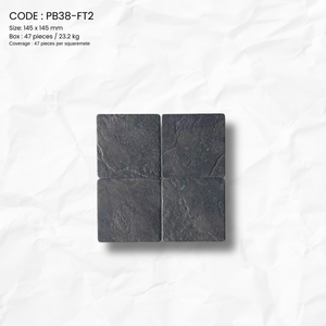 PAGOS STON SERIES PB38-FT2