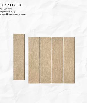 SEDIMENT SERIES PB06-FT6