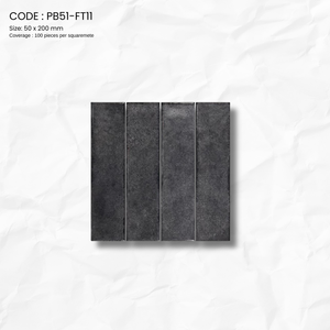 RUSKA SERIES PB51-FT11